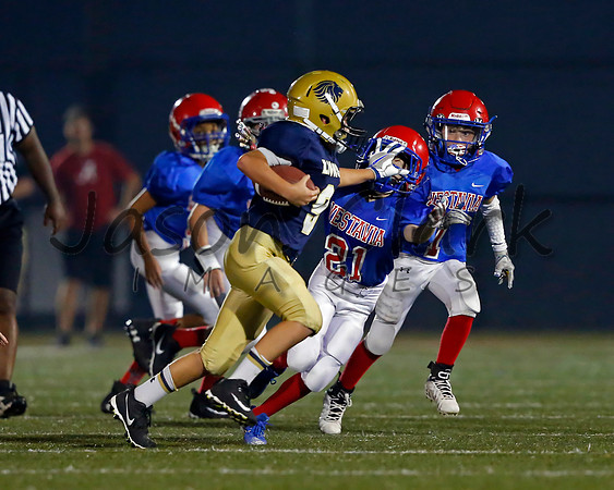 Vestavia Hills 5th