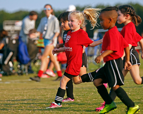 AHSAAFB: Green County at Carbon Hill