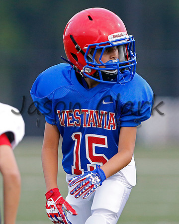 Vestavia Hills 6th Blue