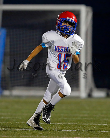 Vestavia Hills 6th Blue