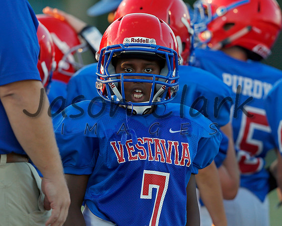 Vestavia Hills 4th Grade