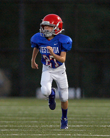 Vestavia Hills 4