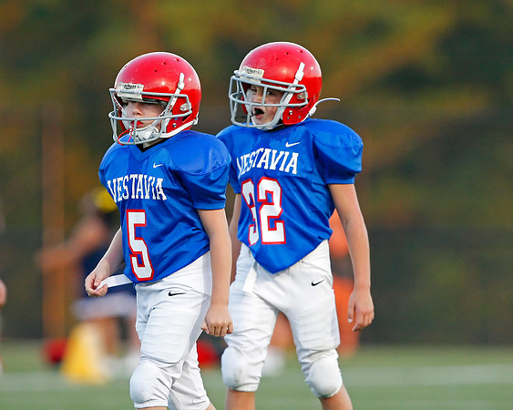 Vestavia Hills 4