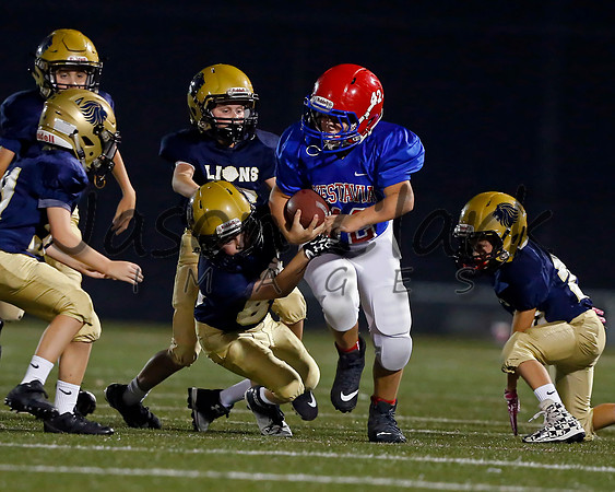 Vestavia Hills 5th