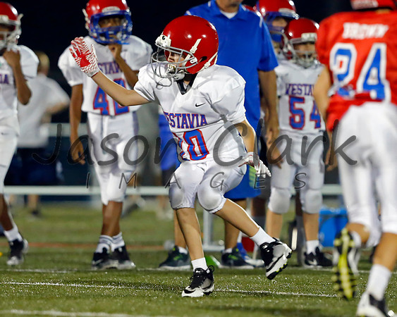 Vestavia Hills 6th Blue