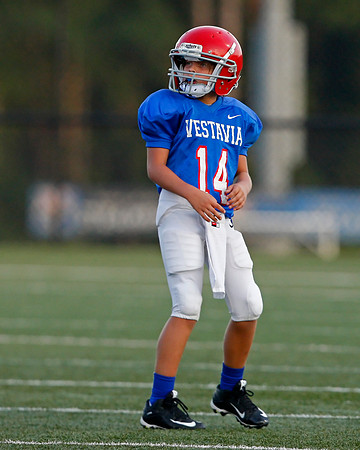 Vestavia Hills 4