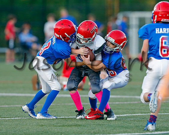 Vestavia Hills 4th Grade