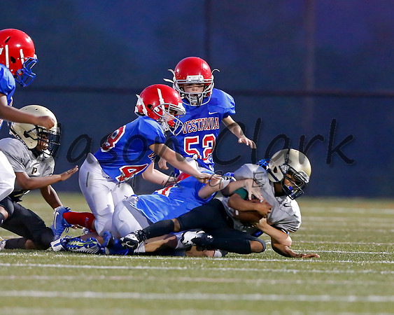 Vestavia Hills 3rd