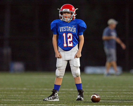 Vestavia Hills 4