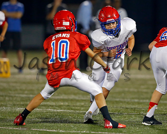 Vestavia Hills 6th Blue