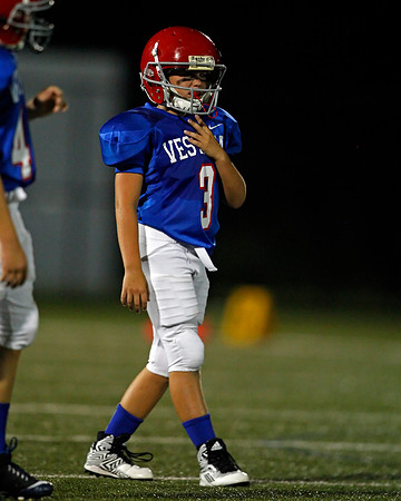 Vestavia Hills 4