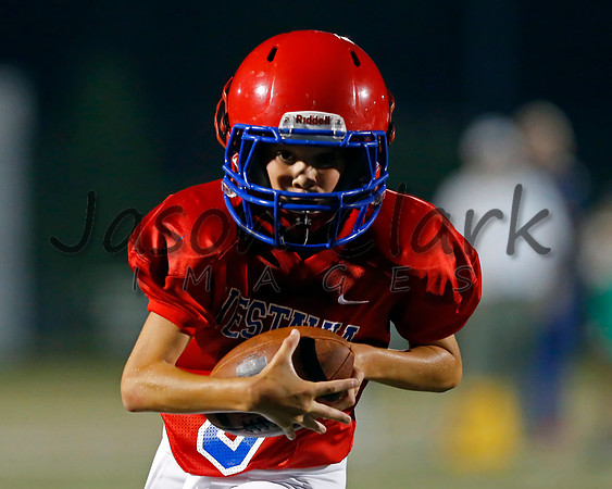 Vestavia Hills 6th Red