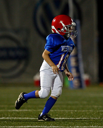 Vestavia Hills 4