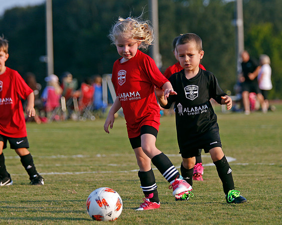 AHSAAFB: Green County at Carbon Hill