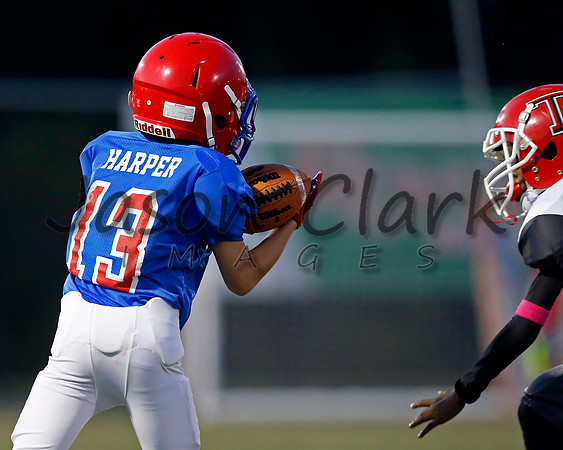 Vestavia Hills 4th Grade