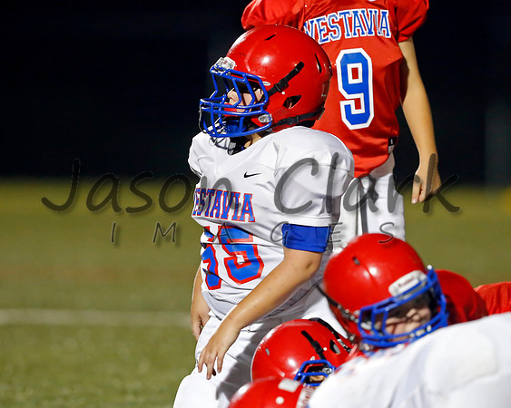 Vestavia Hills 6th Blue