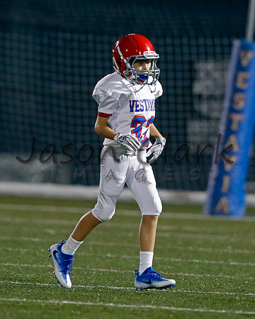 Vestavia Hills 6th Blue