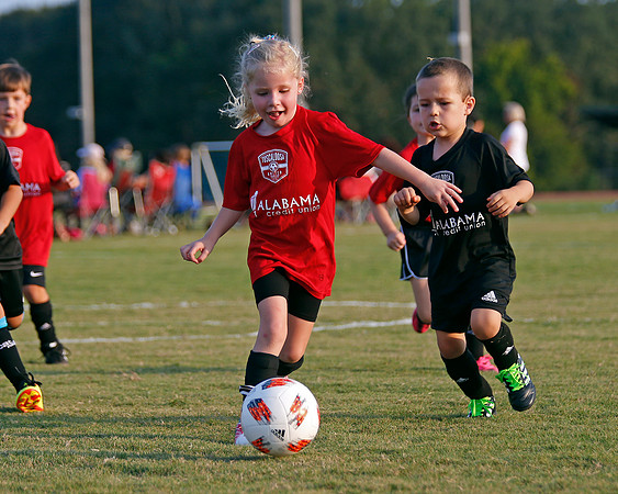 AHSAAFB: Green County at Carbon Hill