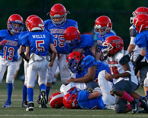Vestavia Hills 4th Grade