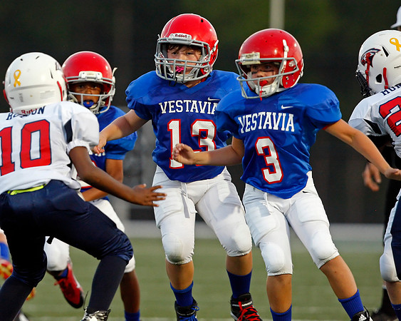 Vestavia Hills 4