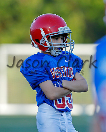 Vestavia Hills 4th Grade
