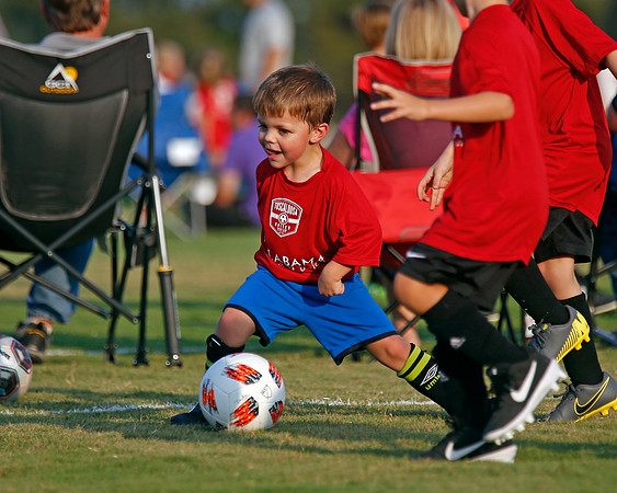 AHSAAFB: Green County at Carbon Hill