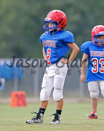 Vestavia Hills 3rd