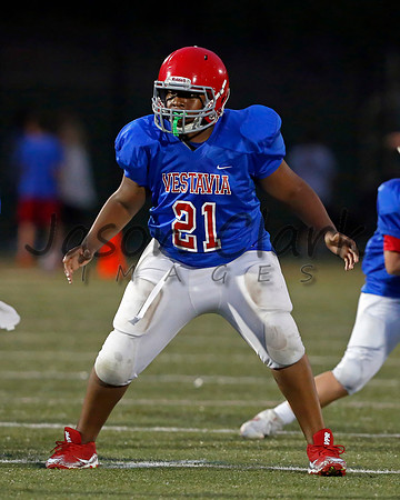 Vestavia Hills 6th Blue