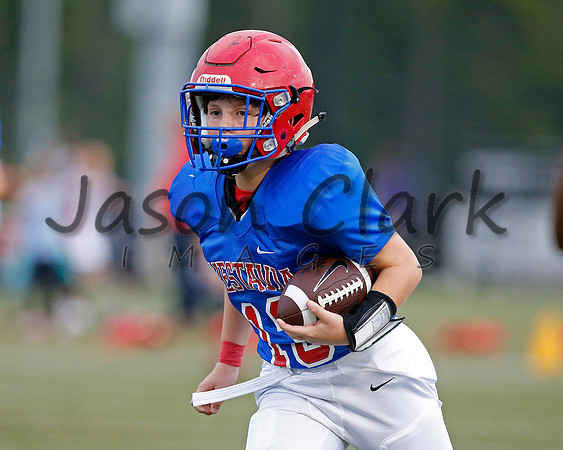 Vestavia Hills 6th Blue