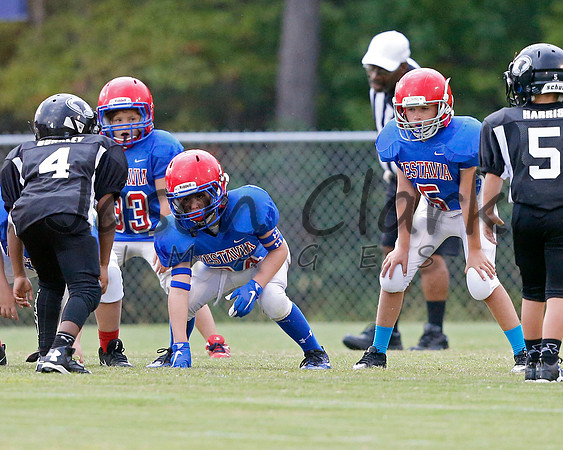Vestavia Hills 3rd