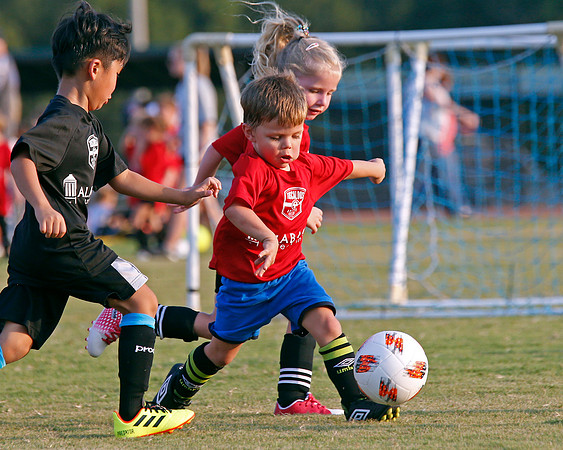 AHSAAFB: Green County at Carbon Hill