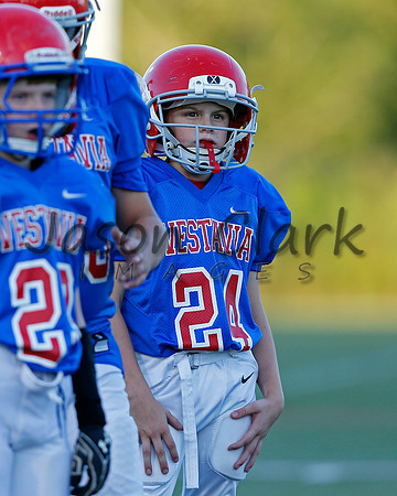 Vestavia Hills 4th Grade