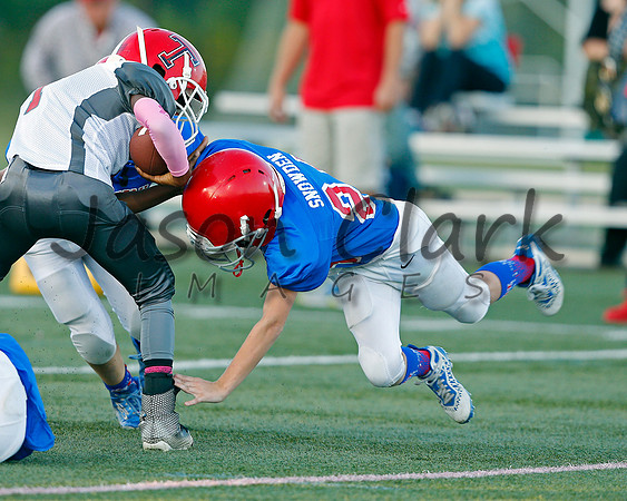 Vestavia Hills 4th Grade