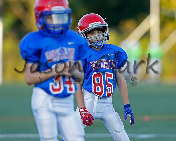 Vestavia Hills 4th Grade