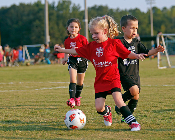 AHSAAFB: Green County at Carbon Hill