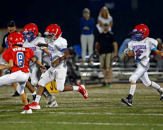 Vestavia Hills 6th Blue