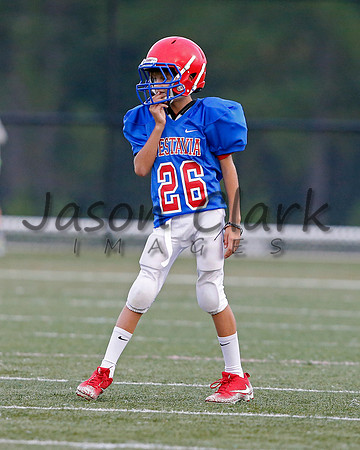 Vestavia Hills 6th Blue