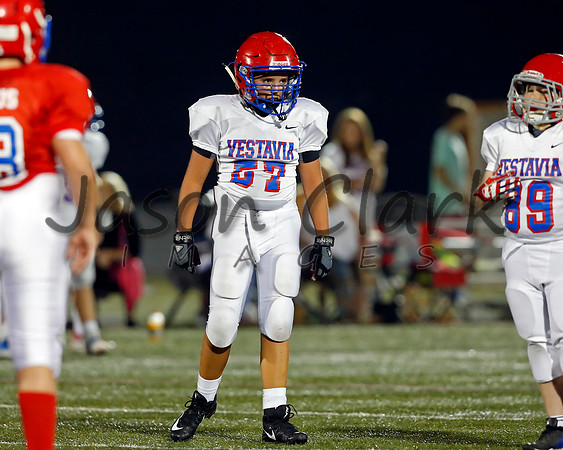 Vestavia Hills 6th Blue