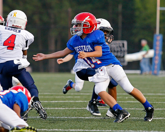 Vestavia Hills 4