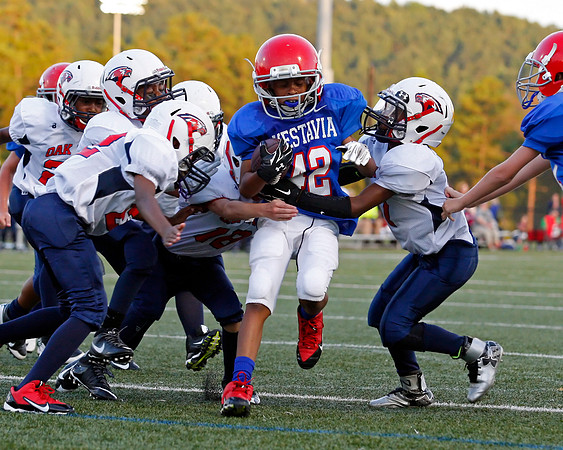 Vestavia Hills 4