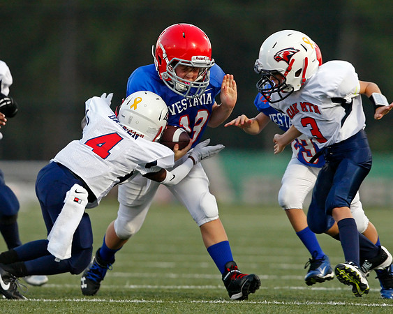 Vestavia Hills 4