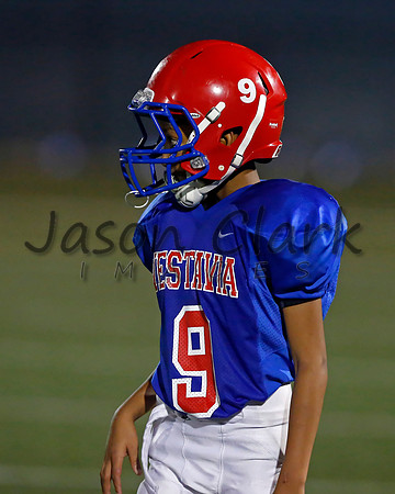 Vestavia Hills 5th
