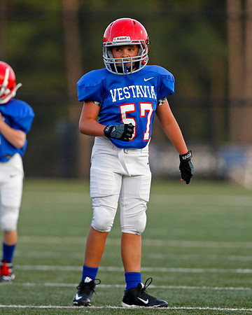 Vestavia Hills 4