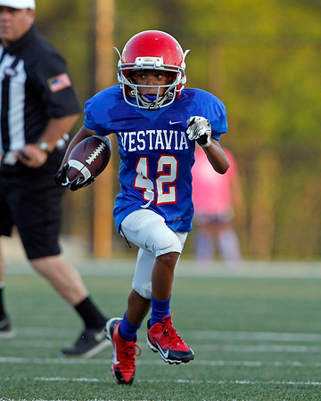 Vestavia Hills 4