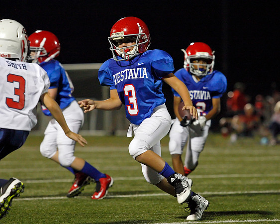 Vestavia Hills 4