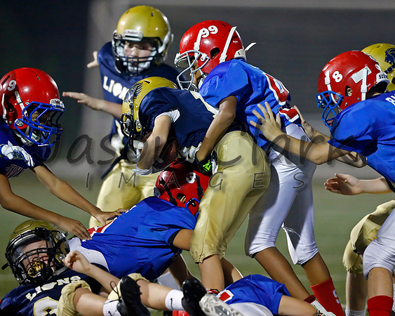 Vestavia Hills 5th