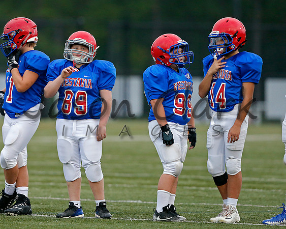 Vestavia Hills 6th Blue