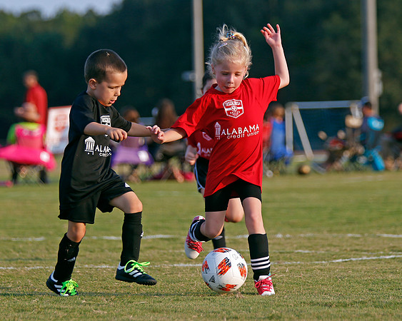 AHSAAFB: Green County at Carbon Hill