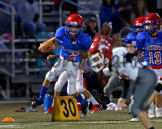 Vestavia Hills 6th Blue