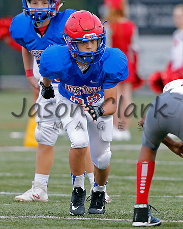 Vestavia Hills 6th Blue